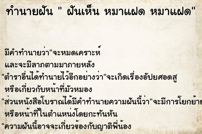 ทำนายฝัน  ฝันเห็น หมาแฝด หมาแฝด